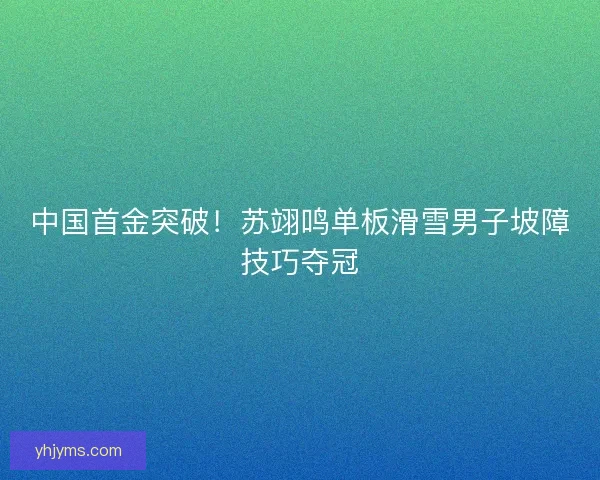 中国首金突破！苏翊鸣单板滑雪男子坡障技巧夺冠