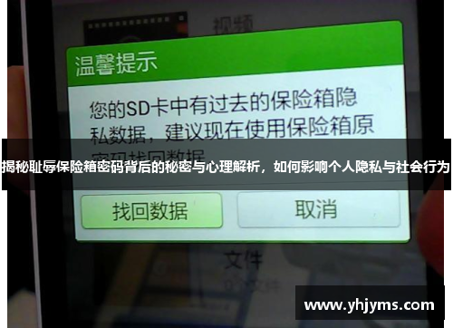 揭秘耻辱保险箱密码背后的秘密与心理解析，如何影响个人隐私与社会行为