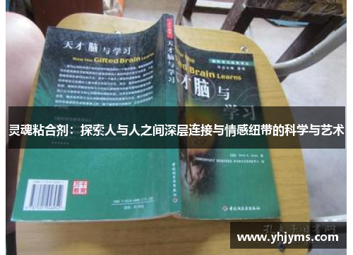 灵魂粘合剂：探索人与人之间深层连接与情感纽带的科学与艺术