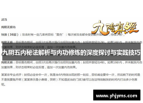 九阴五内秘法解析与内功修炼的深度探讨与实践技巧