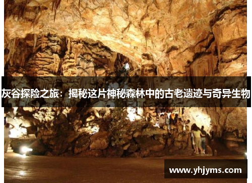 灰谷探险之旅：揭秘这片神秘森林中的古老遗迹与奇异生物