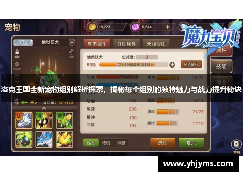 洛克王国全新宠物组别解析探索，揭秘每个组别的独特魅力与战力提升秘诀